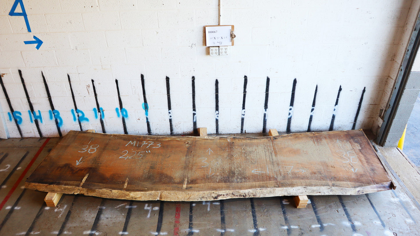 10/4 Monkey Pod <br> 147" x 37" x 2.5" <br> I00067