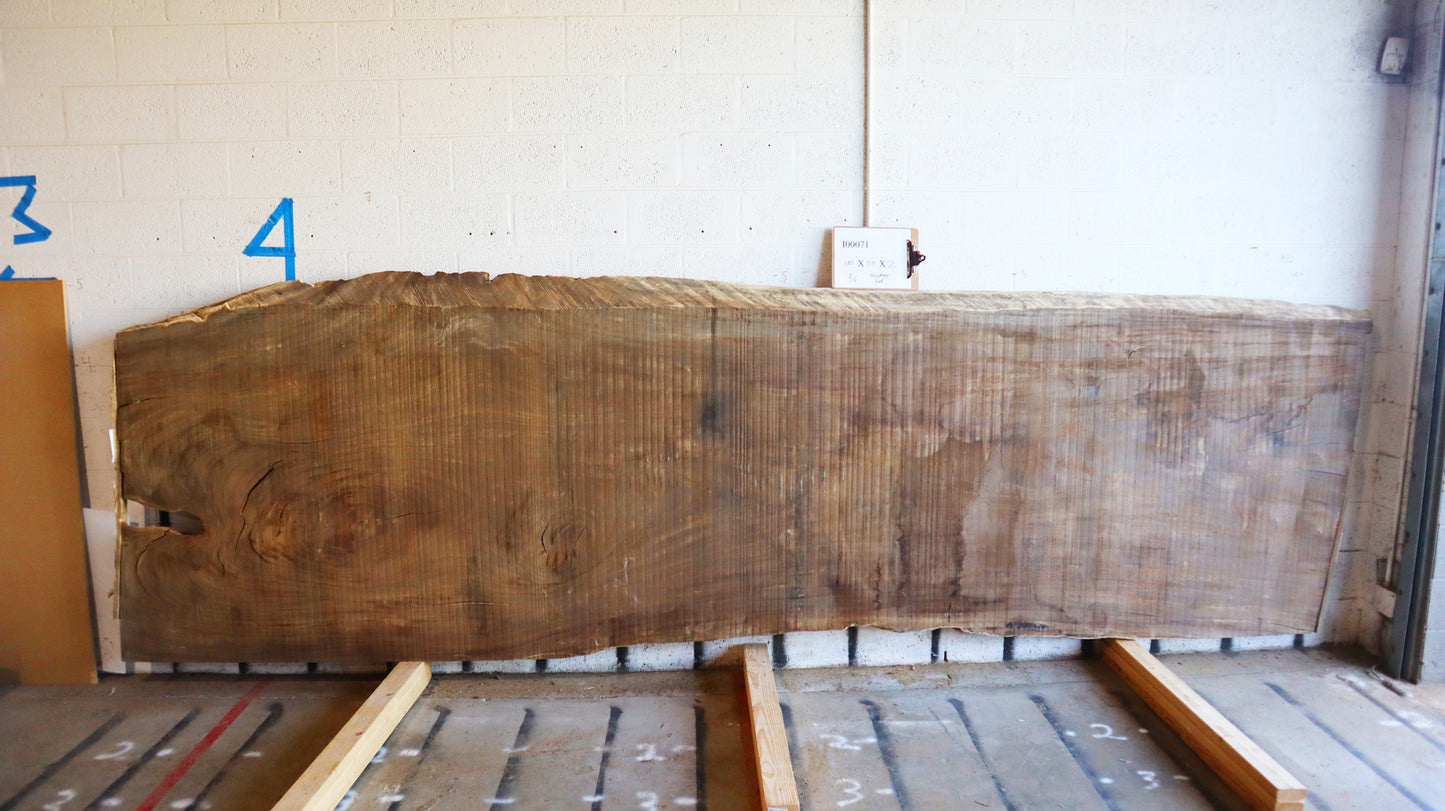 8/4 Monkey Pod <br> 180" x 54" x 2" <br> I00071