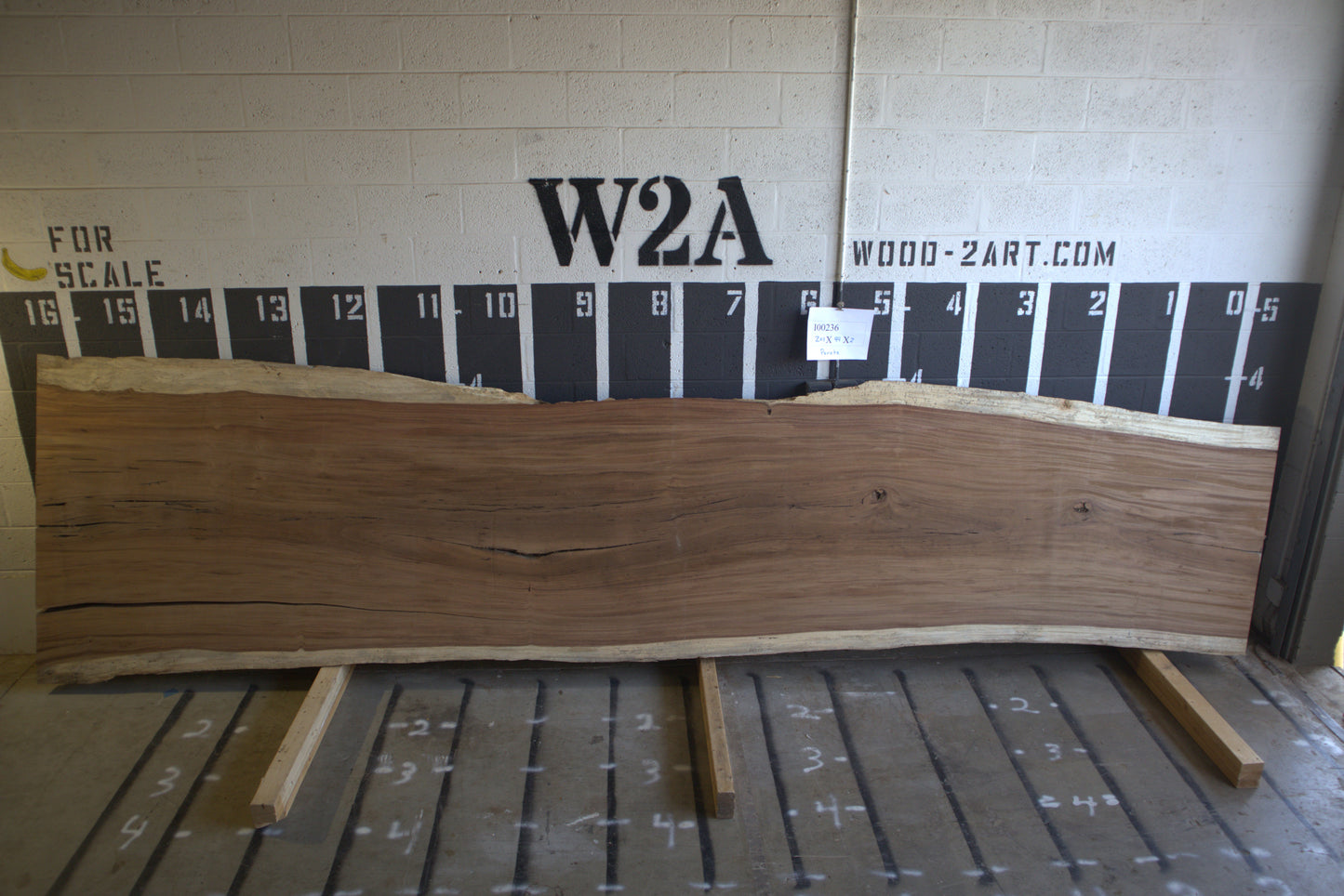 8/4 Parota <br> 201" x 44" x 2" <br> I00236