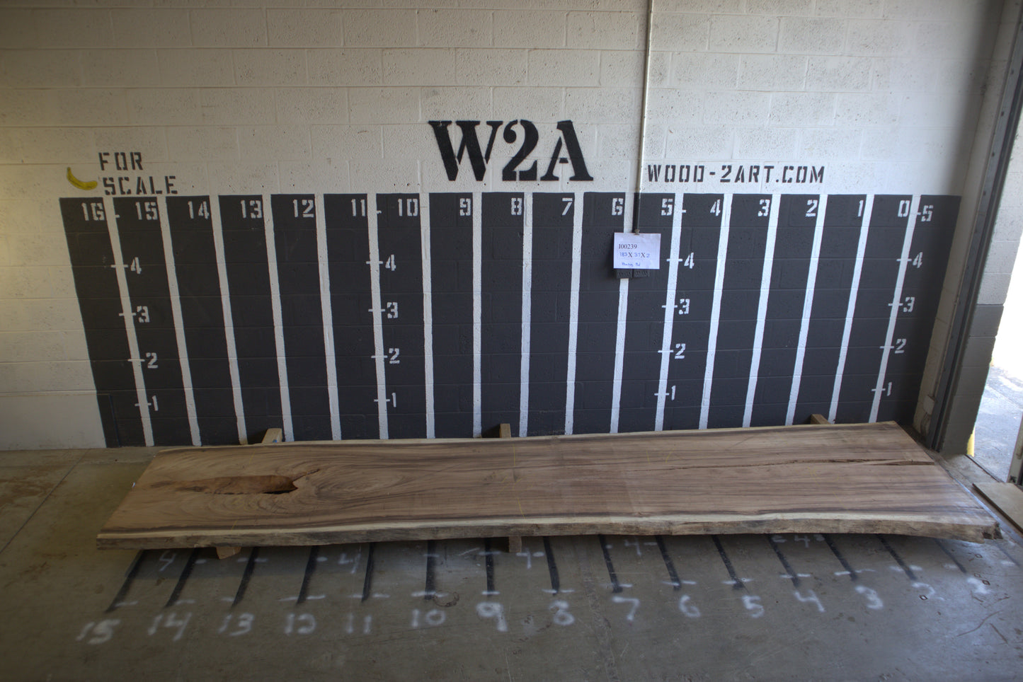 8/4 Monkey Pod <br> 183" x 37" x 2" <br> I00239