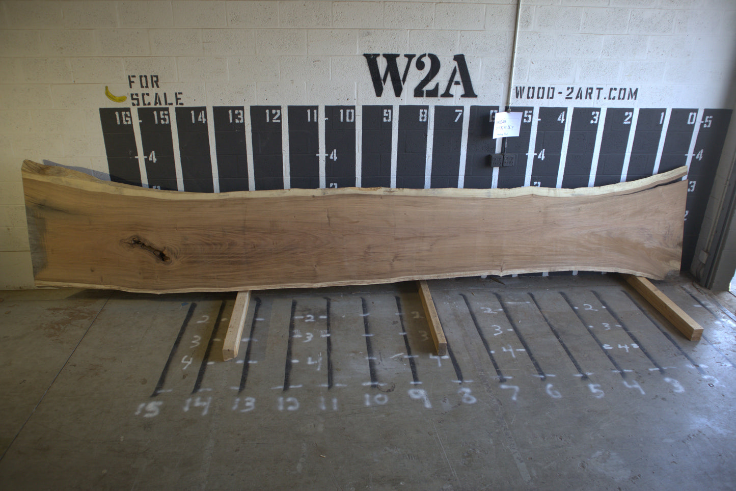 12/4 Monkey Pod <br> 227" x 32" x 3" <br> I00240