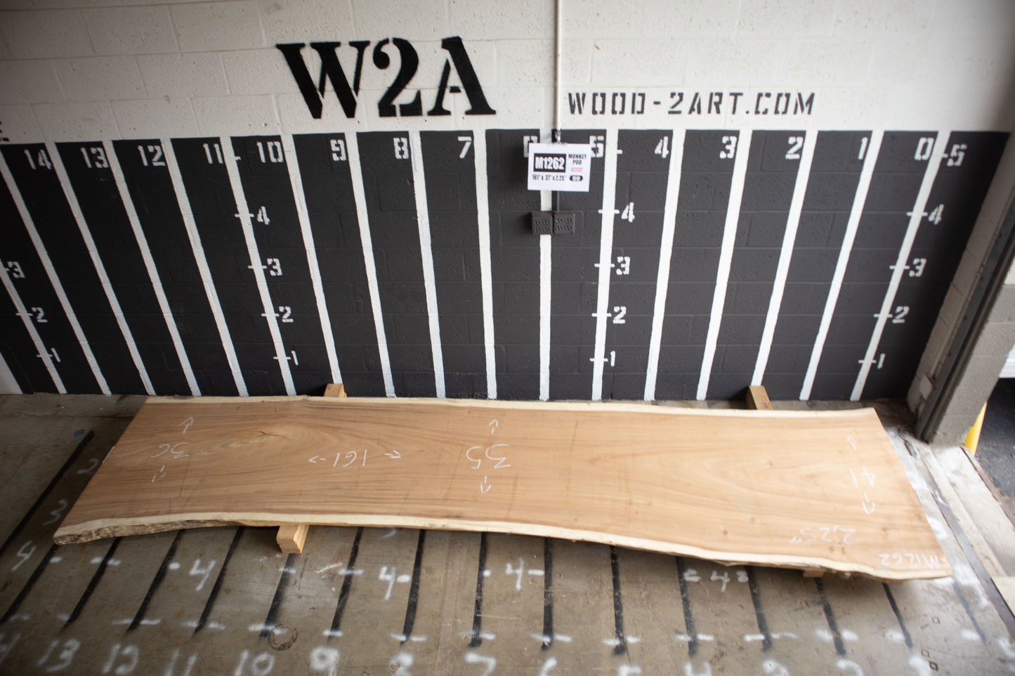 10/4 Monkey Pod <br> 161" x 37" x 2.25" <br> M1262