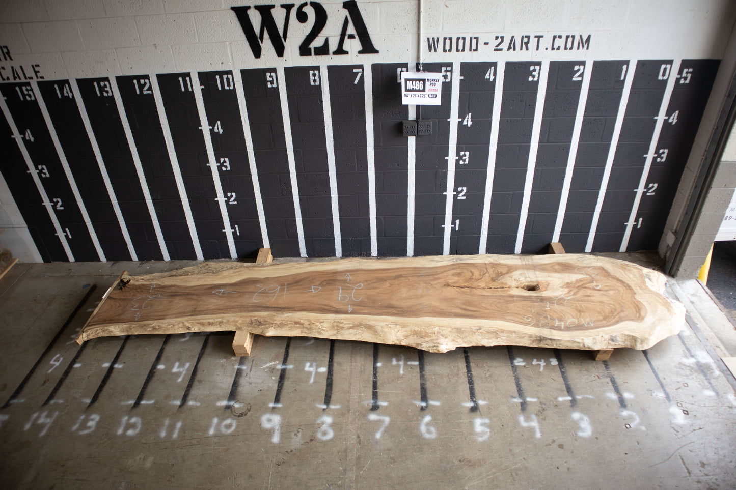 8/4 Monkey Pod <br> 162" x 29" x 2.25" <br> M486