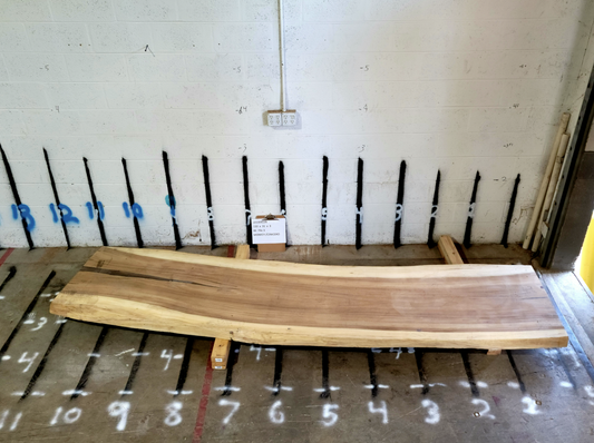 Monkey / Cenicero 133 x 31 x 3 Slabs Wood-2Art