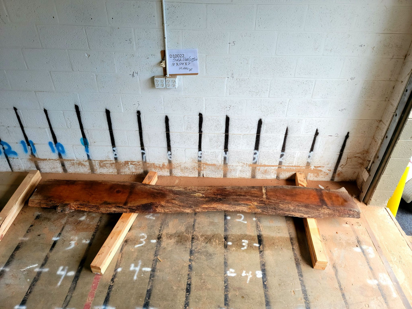 8/4 Silk Oak <br> 124" x 16" x 2" <br> D10022