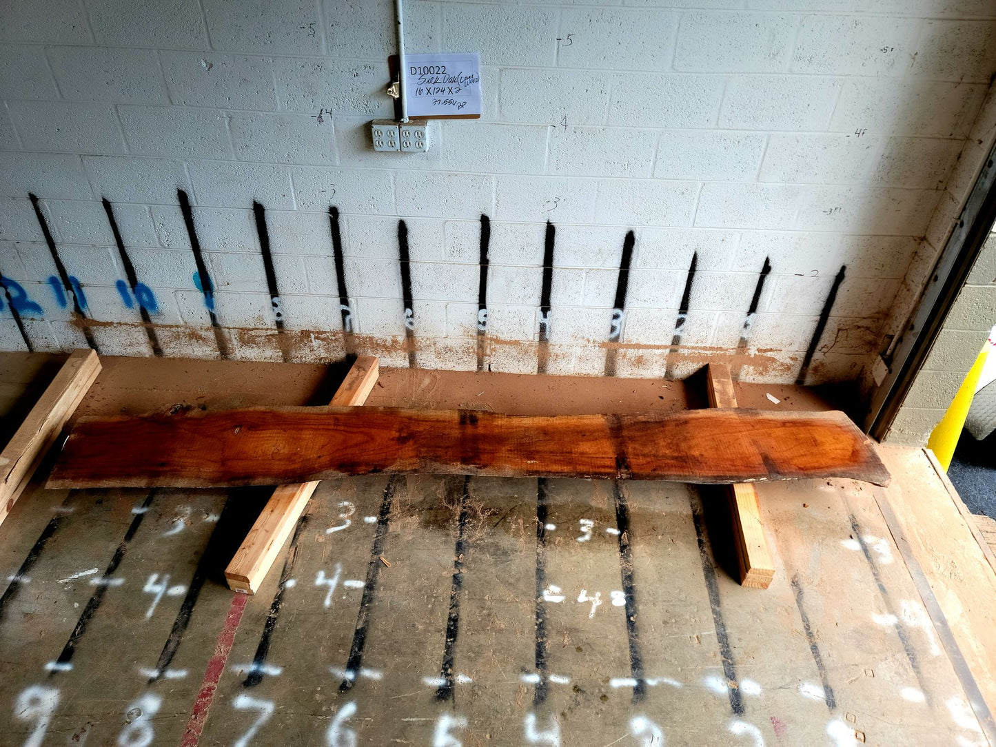 8/4 Silk Oak <br> 124" x 16" x 2" <br> D10022