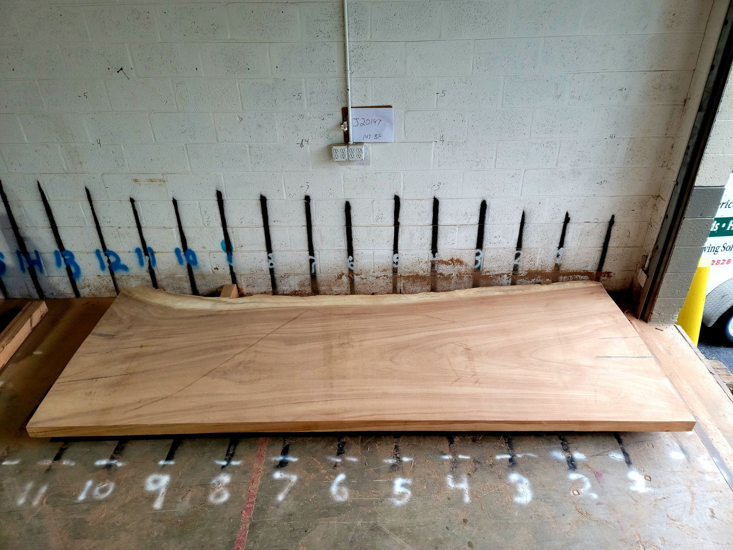 12/4 Parota <br> 138" x 51" x 3" <br> J20147