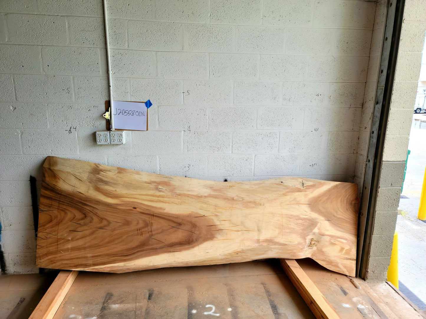 12/4 Monkey Pod <br> 101" x 34" x 3" <br> J20558CEN