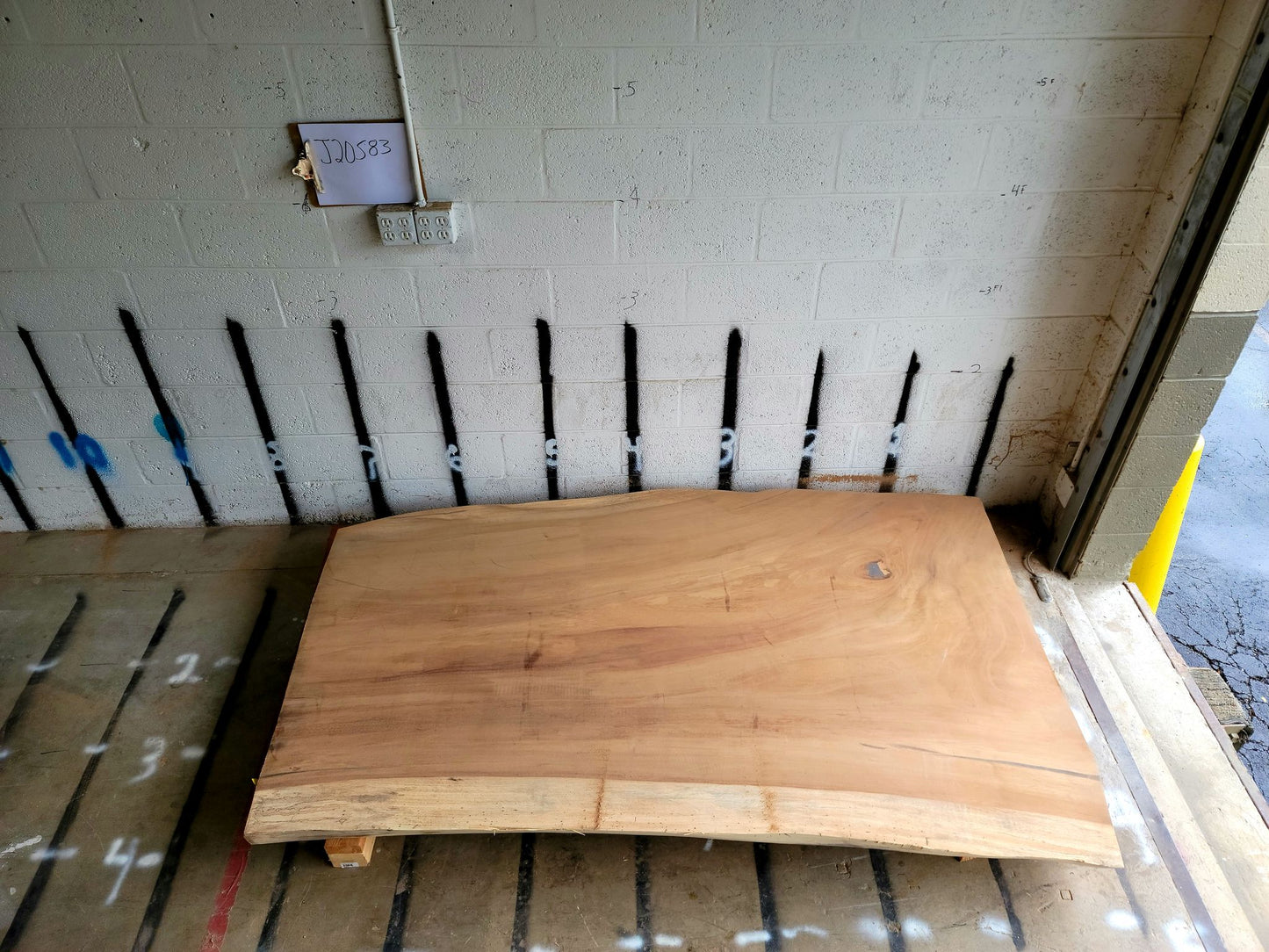 12/4 Parota <br> 86" x 50" x 3" <br> J20583