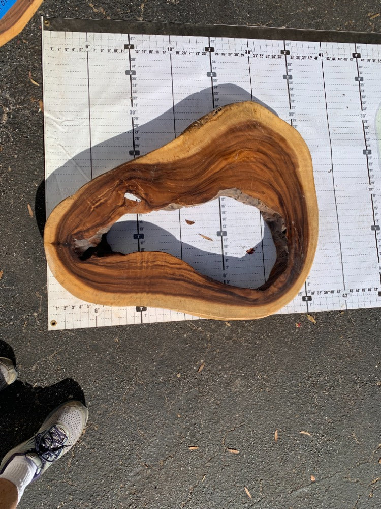 12/4 Acacia <br> 36" x 30" x 3" <br> Round <br> D11104