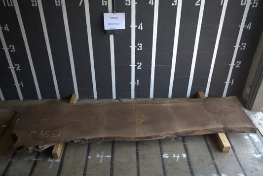 10/4 Walnut <br> 124" x 29" x 2.5" <br> D10187