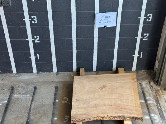 6/4 Camphor <br> 34" x 30" x 1.5" <br> D10202