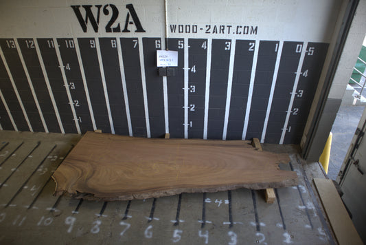 8/4 Monkey Pod <br> 125" x 41" x 2" <br> I00229