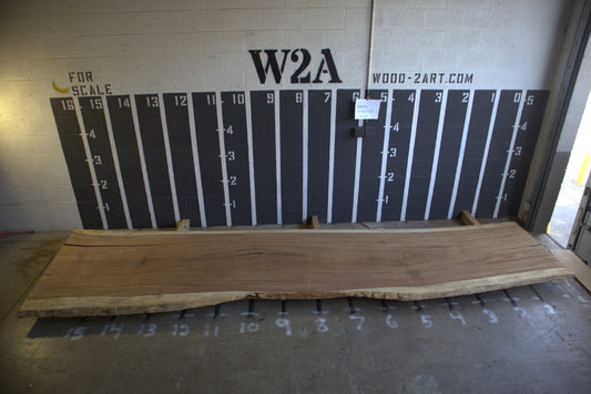 8/4 Parota <br> 201" x 44" x 2" <br> I00236