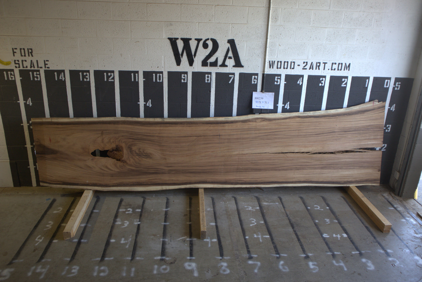 8/4 Monkey Pod <br> 183" x 37" x 2" <br> I00239