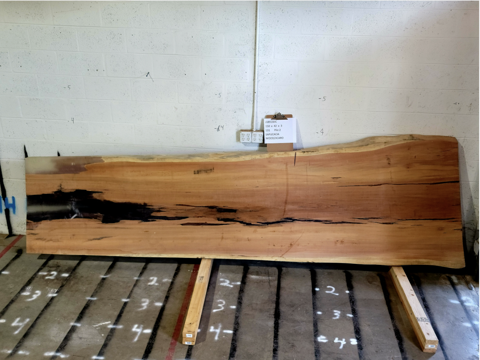 Sapucacia Wood / Jicaro 150 x 42 x 3 (41/42) FormanAmy 